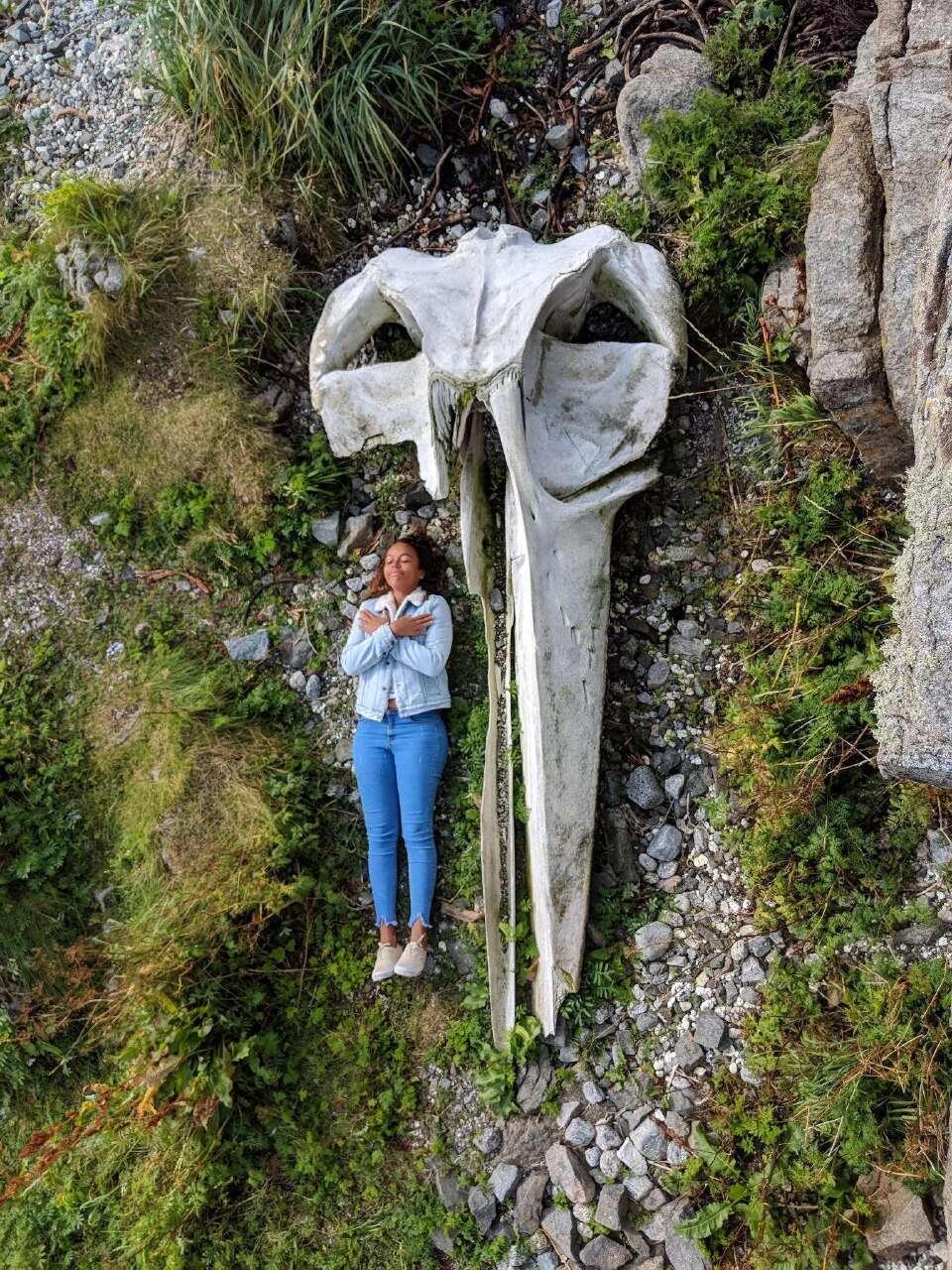 A human next to the skull…