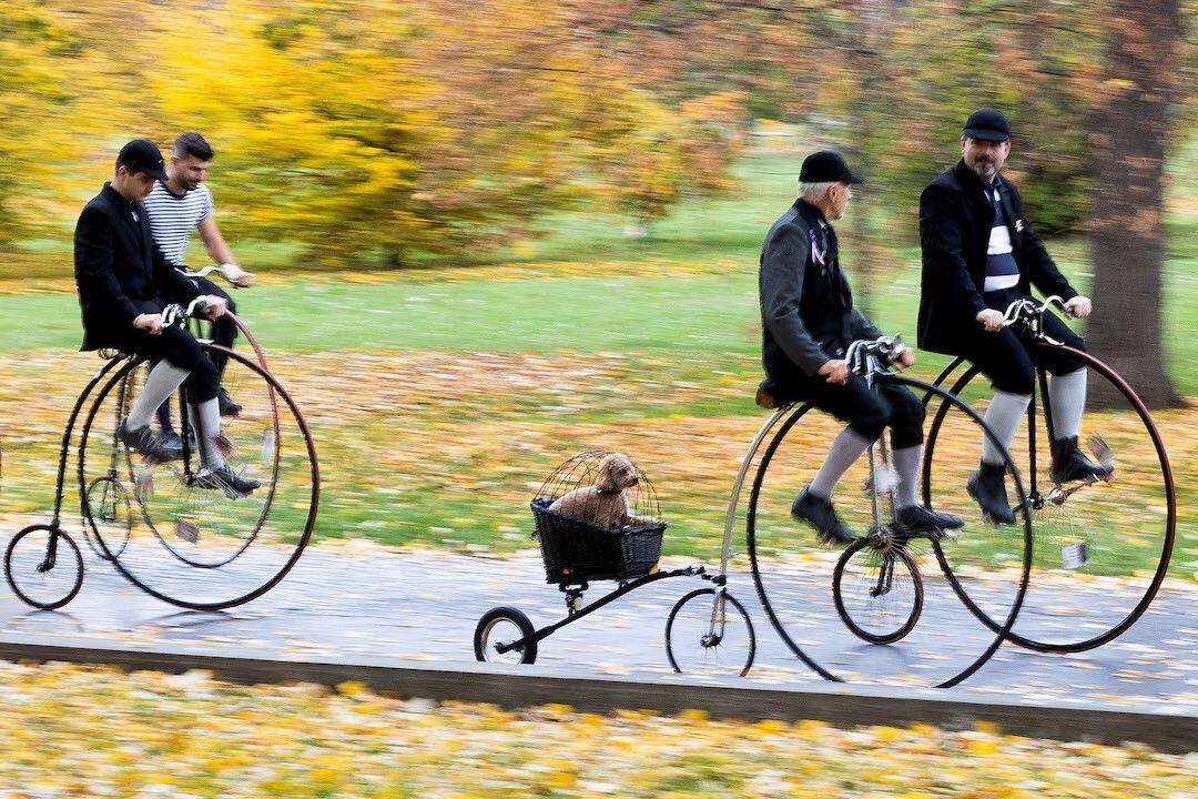 Participants wearing historical costumes ride their…