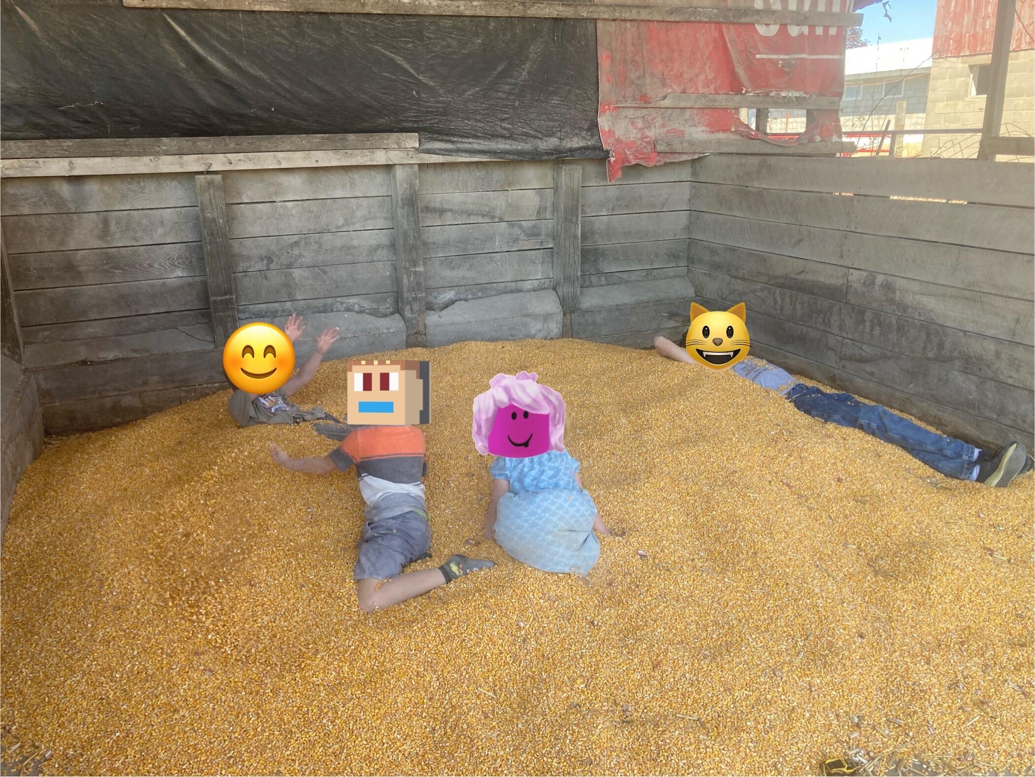 Just kids playing in a pile…