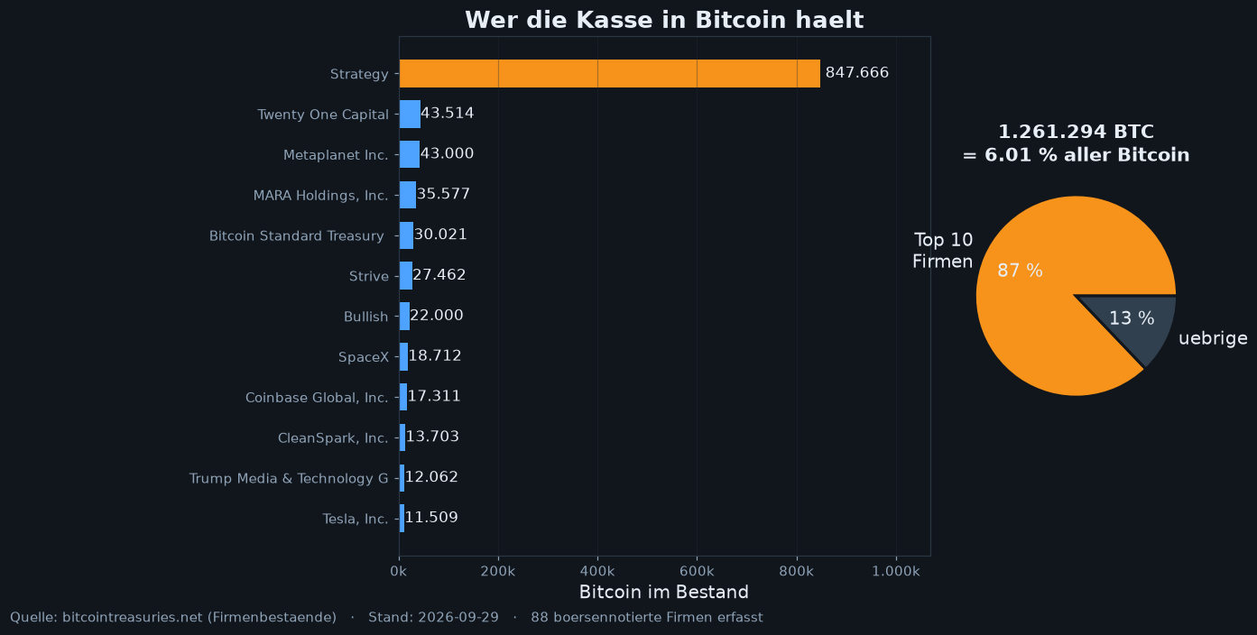 Who holds the coins. The twelve largest publicly traded bitcoin holders and the share of the total held by the top ten. Own chart, bitcointreasuries.net.