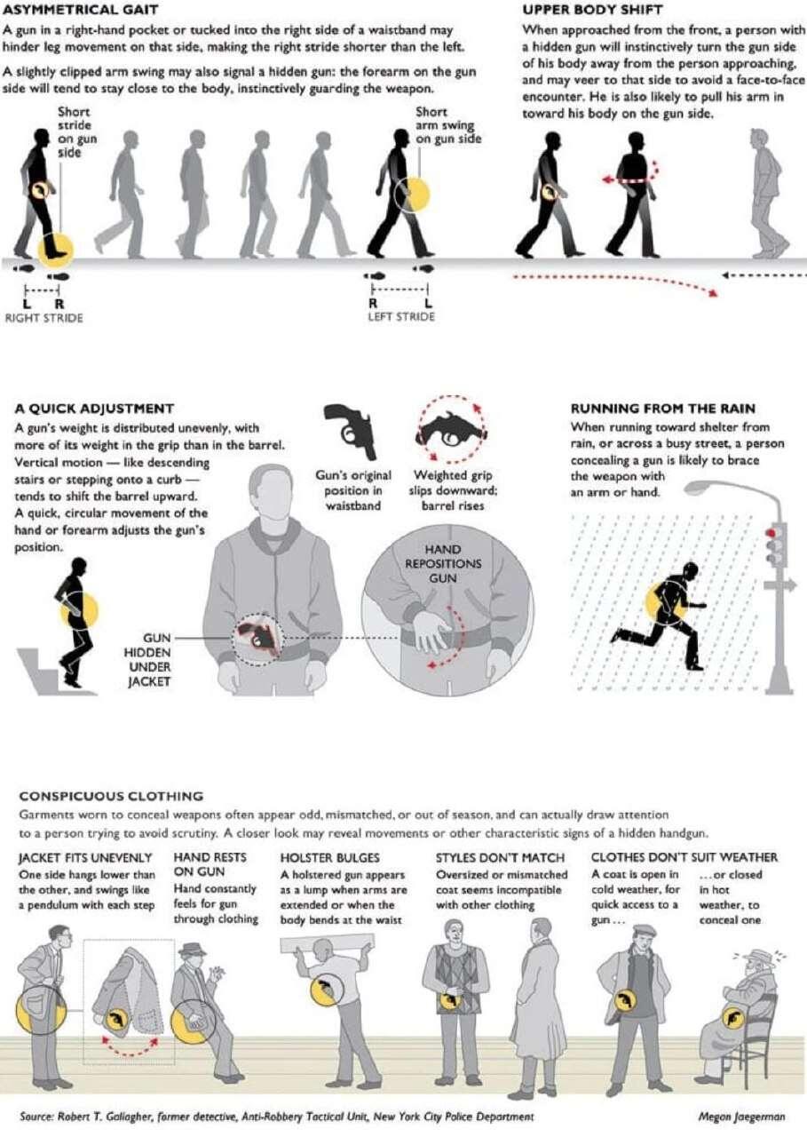 A cool guide to spot a…