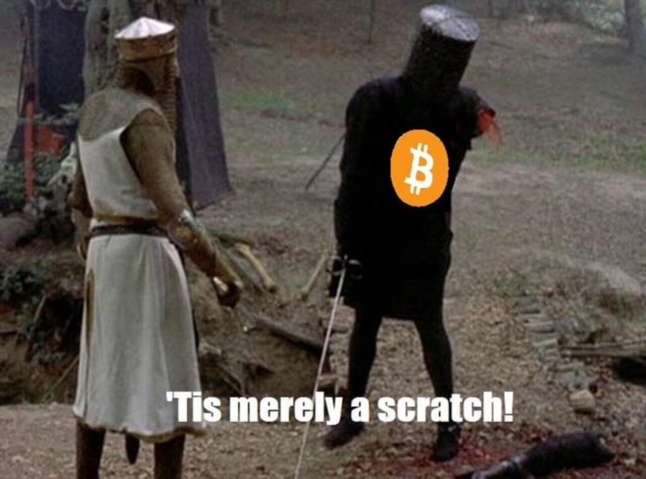 Tis Merely a scratch. #Bitcoin.