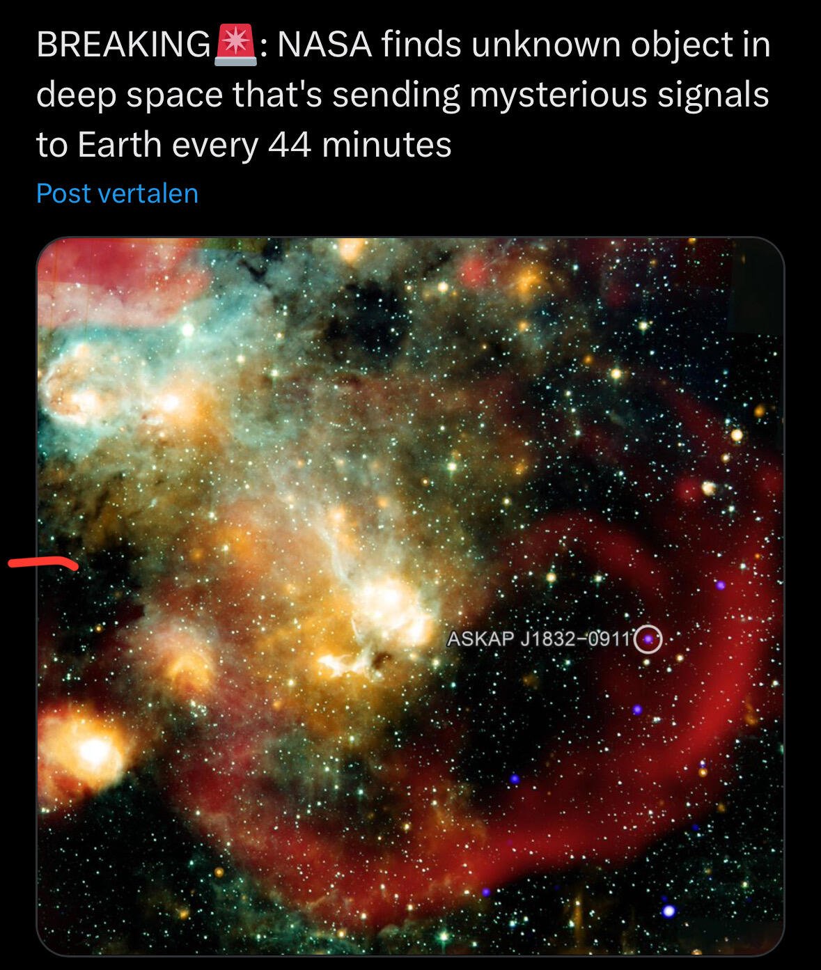 Not worth finding out what it…