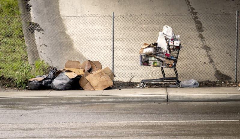 Cover image for On the Economics of Modern Homelessness