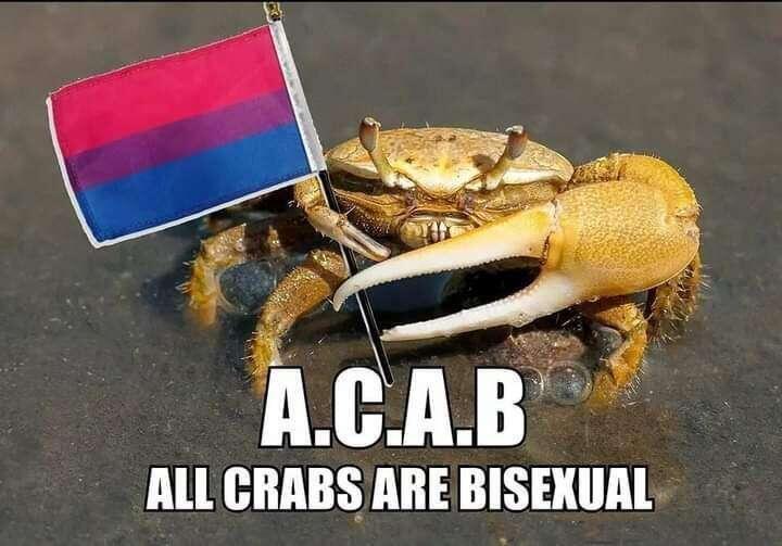 #Meme
