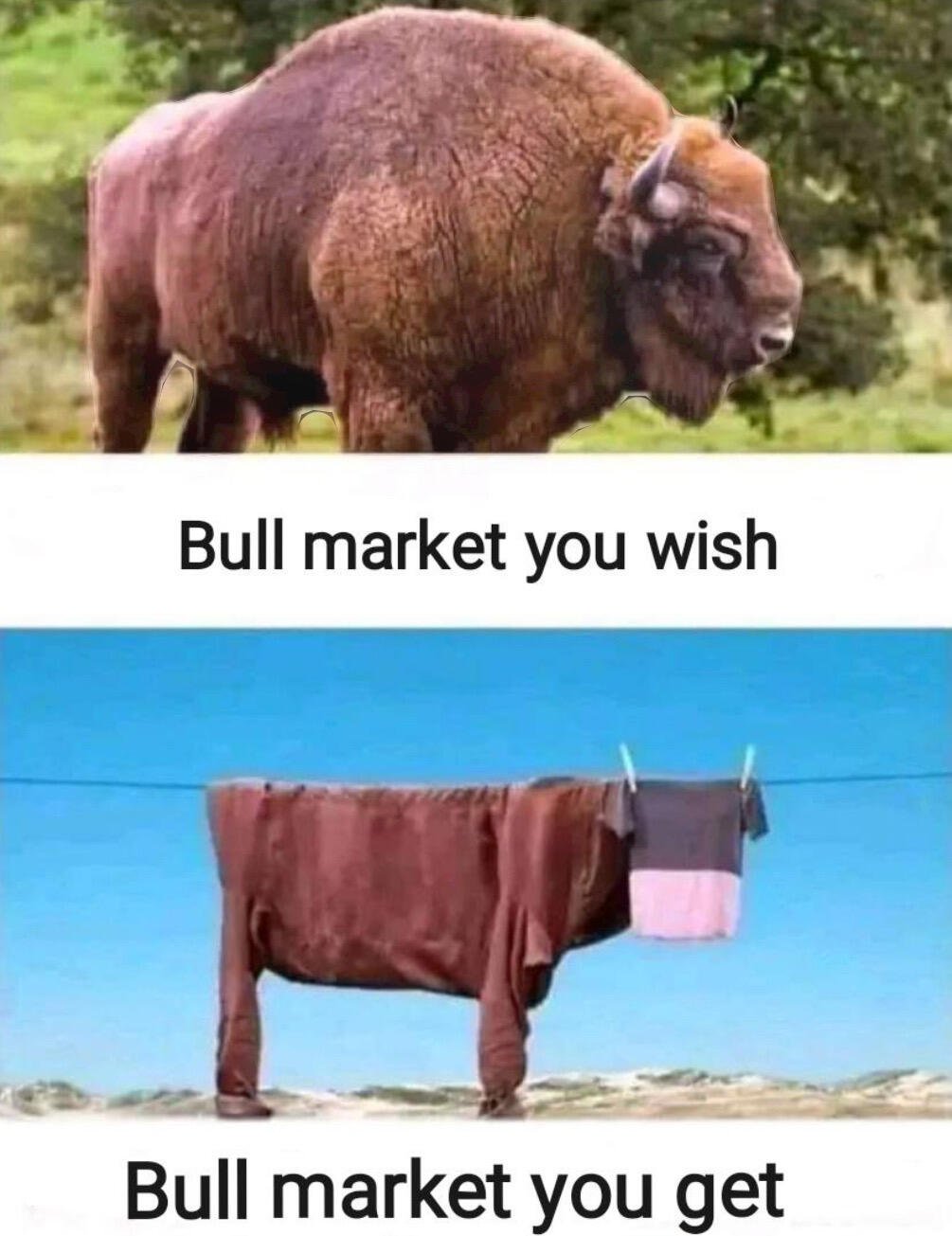 #Bitcoin Bison market incoming.