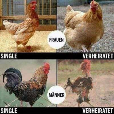 #Meme
