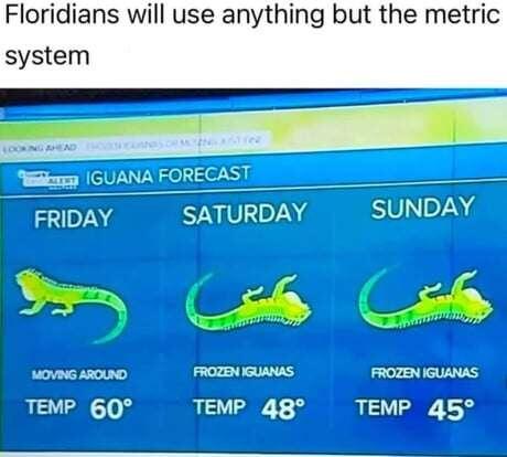 #Meme