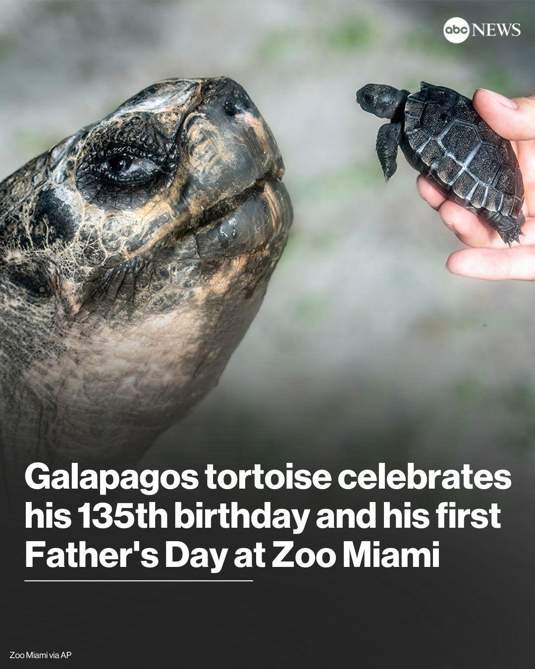 It’s never too late, guys!