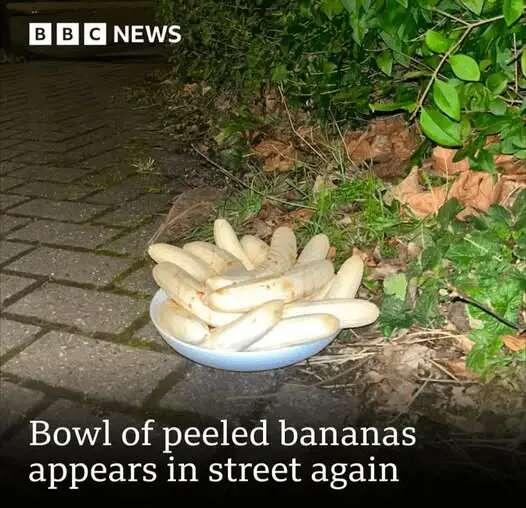 I have some questions :-)