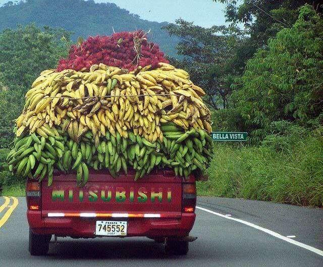 #car #carstr