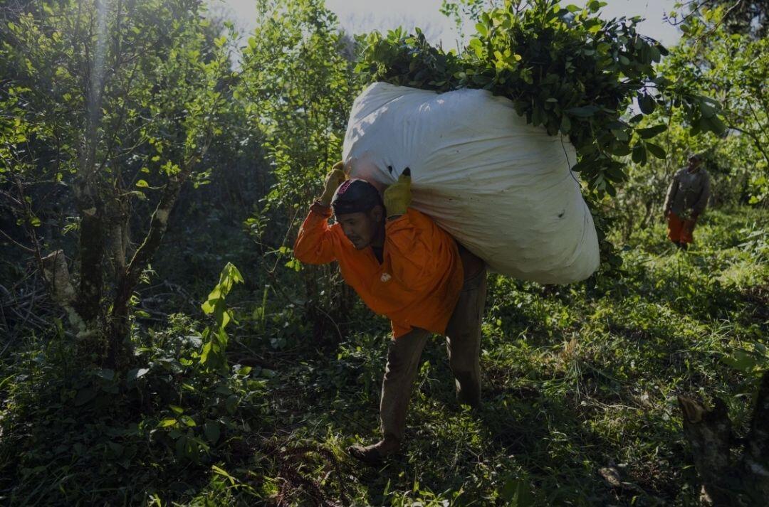 Leonardo Favio Correa carries yerba mate…