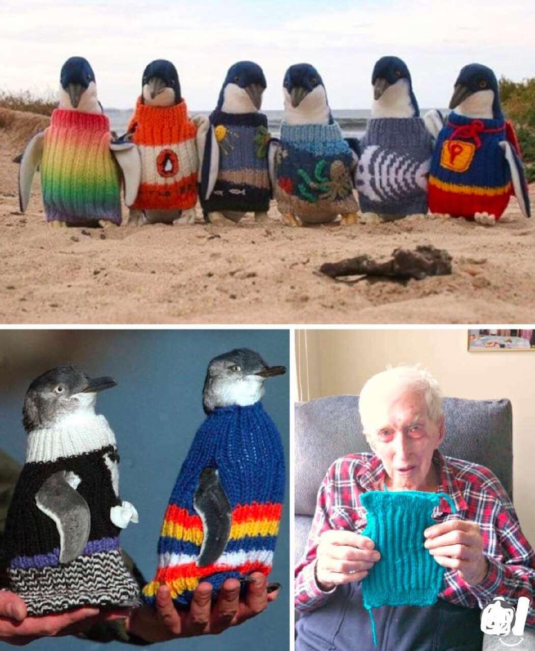 Australia’s oldest man (110) spent…