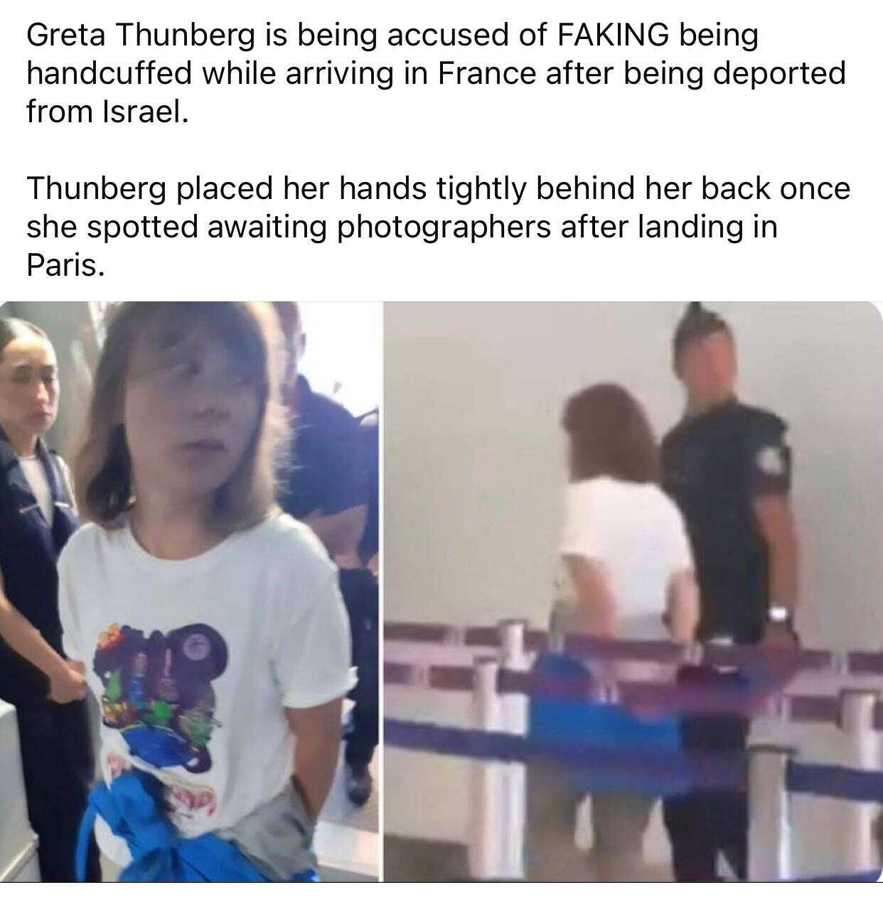 #greta #thunberg #faking